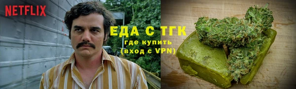 крисы Новозыбков