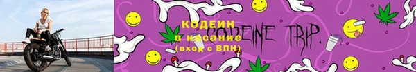 сатива Нея