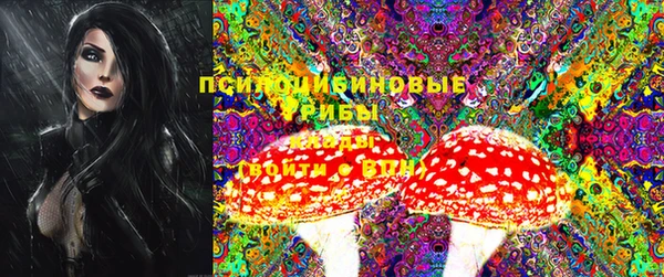 каннабис Новодвинск