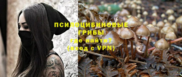 крисы Новозыбков