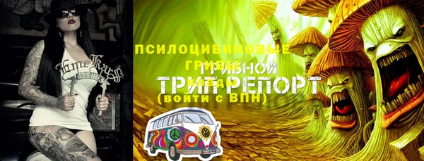 a pvp Надым