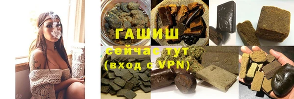 крисы Новозыбков