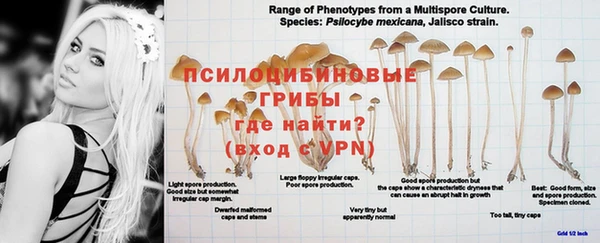 бошки Бронницы