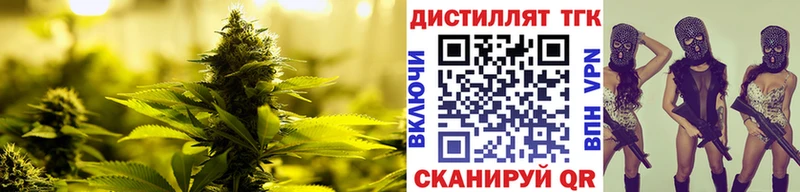 нарко площадка клад  хочу   Грайворон  ТГК THC oil 