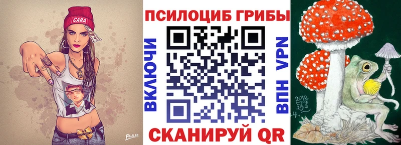 Галлюциногенные грибы Psilocybine cubensis  Грайворон 