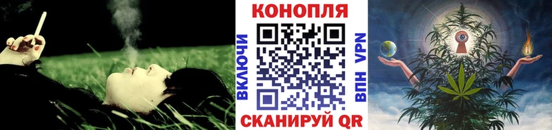 купить наркотики цена  Грайворон  Конопля семена 